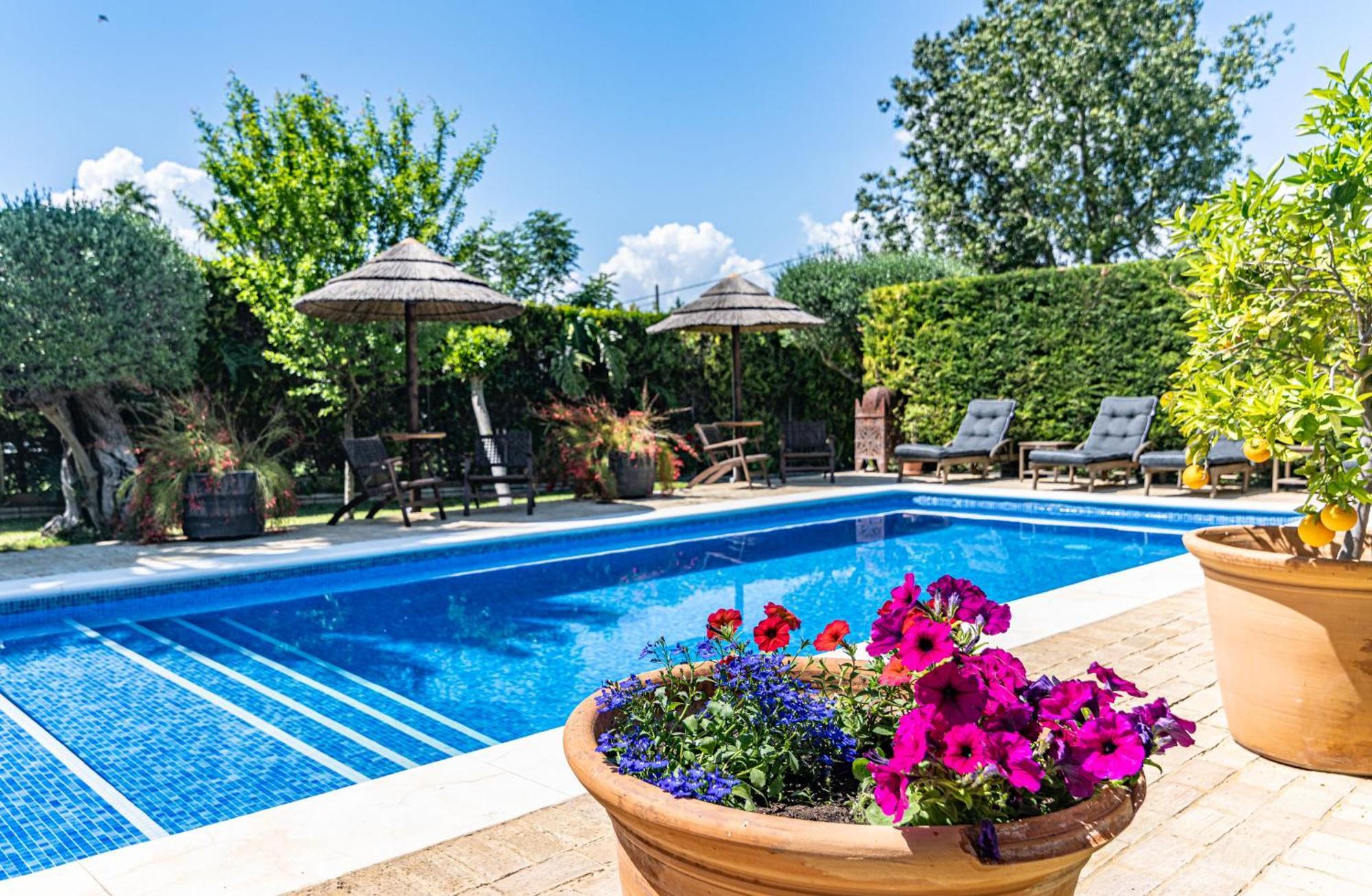 B&B Casa Adelante Sevilla Espartinas Eksteriør bilde