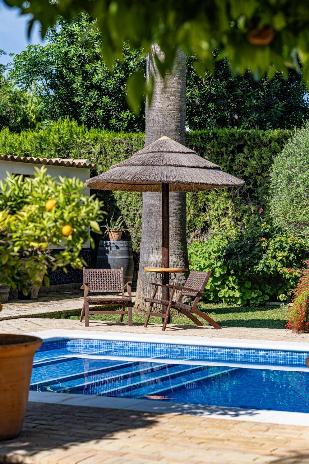 B&B Casa Adelante Sevilla Espartinas Eksteriør bilde